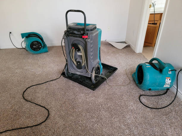 Best Water damage contractors near me  in Quinebaug, CT