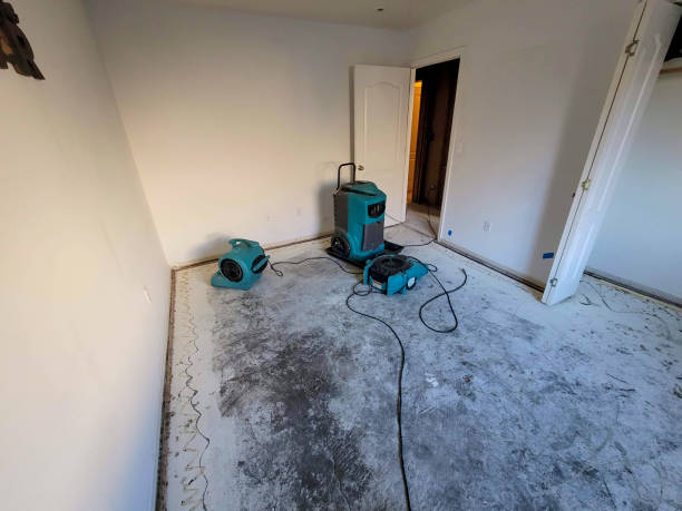 Best Mold removal after water damage  in Quinebaug, CT