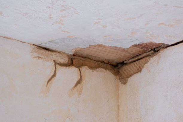 Best Sewage cleanup and water damage restoration  in Quinebaug, CT