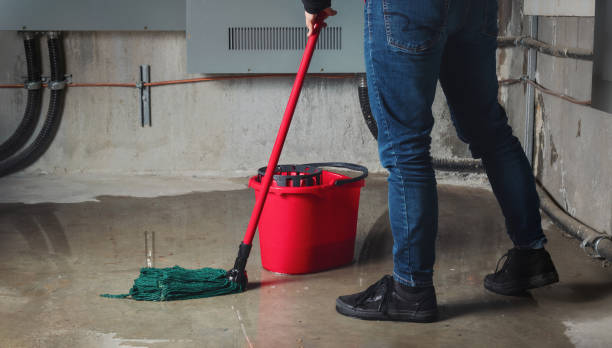 Best Water damage cleanup near me  in Quinebaug, CT