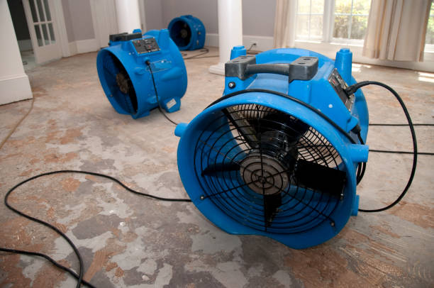 Best 24-hour water damage restoration  in Quinebaug, CT