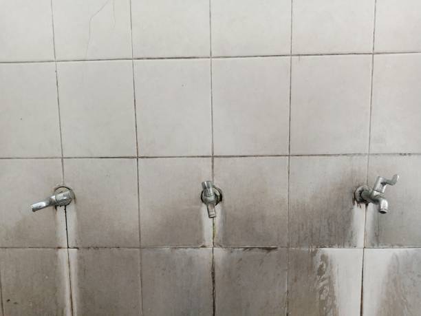 Best 24/7 water damage repair  in Quinebaug, CT