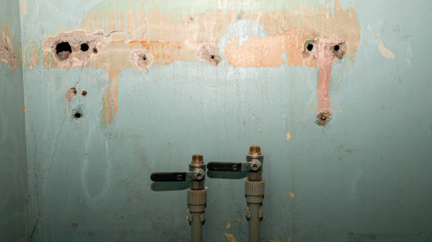 Best Water damage restoration specialists  in Quinebaug, CT